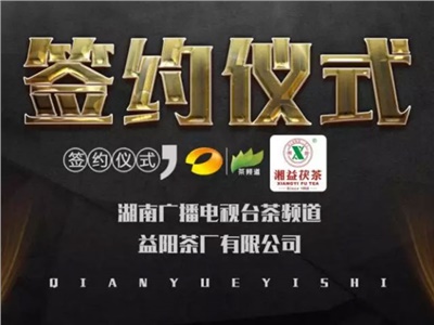 湘益茯，美茗揚 丨湘益茯茶與茶頻道達成長期戰(zhàn)略合作